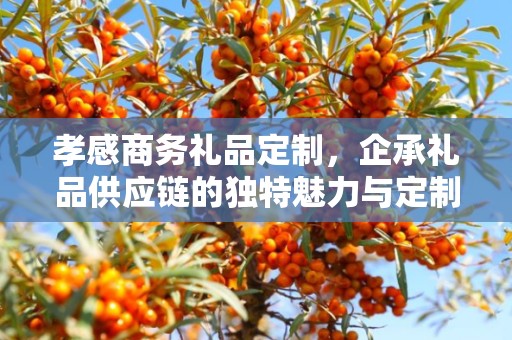孝感商务礼品定制，企承礼品供应链的独特魅力与定制之道